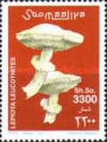 Leucoagaricus leucothites