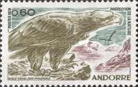 Golden Eagle (Aquila chrysaetos)