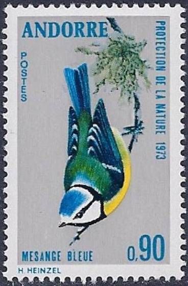 Eurasian Blue Tit (Parus caeruleus)
