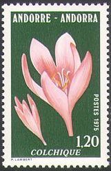 Colchicum autumnale