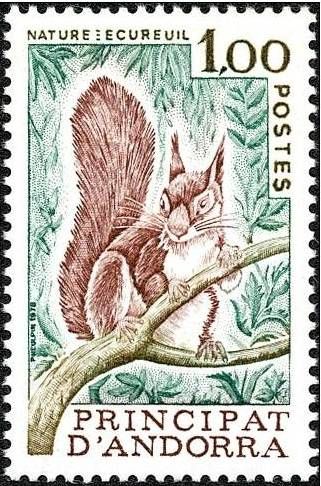 Eurasian Red Squirrel (Sciurus vulgaris)