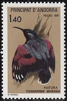 Wallcreeper (Tichodroma muraria)