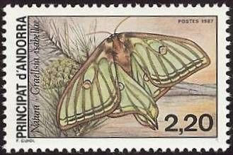 Spanish Moon Moth (Graellsia isabellae)