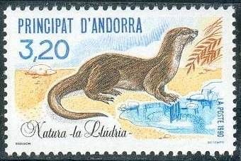 Eurasian Otter (Lutra lutra)