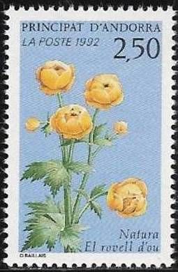 Trollius europaeus