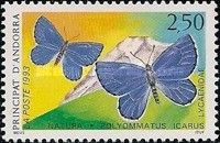 Common Blue (Polymmatus icarus)