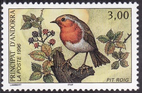 European Robin (Erithacus rubecula)