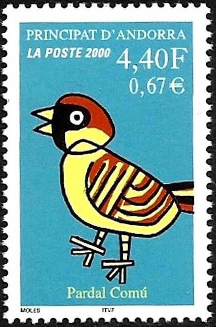 Bird