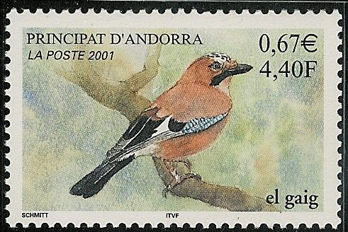Eurasian Jay (Garrulus glandarius)