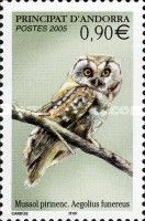 Boreal Owl (Aegolius funereus)
