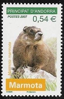 Alpine Marmot (Marmota marmota)