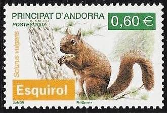 Eurasian Red Squirrel (Sciurus vulgaris)