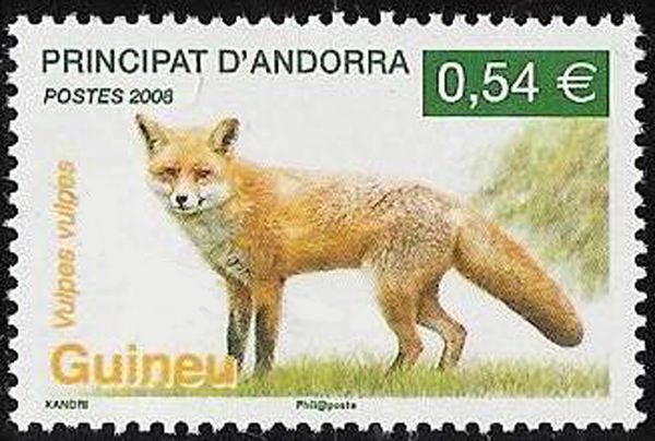 Red Fox (Vulpes vulpes)