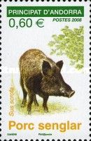 Wild Boar (Sus scrofa)