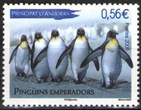 Emperor Penguin (Aptenodytes forsteri)