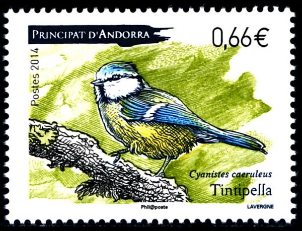 Eurasian Blue Tit (Parus caeruleus)