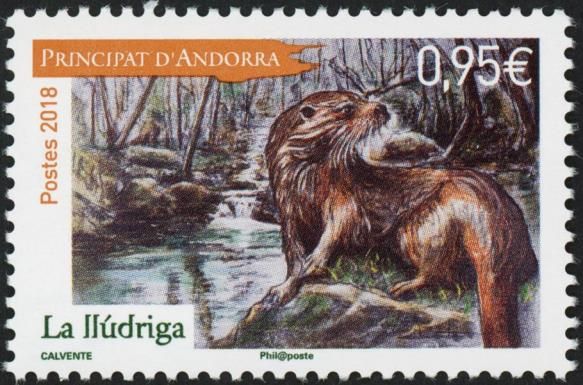 Otter (Lutra lutra)