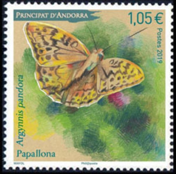 Cardinal Butterfly (Argynnis pandora)