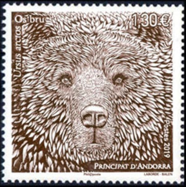 Brown Bear (Ursus arctos)
