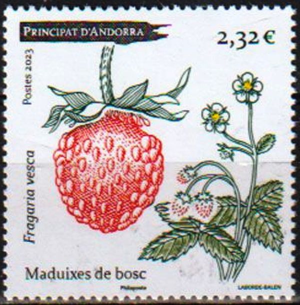 Wild Strawberry (Fragaria vesca)