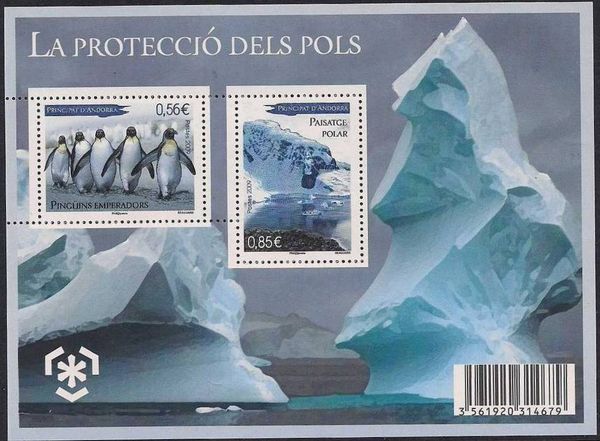 Emperor Penguin (Aptenodytes forsteri), Polar Landscape