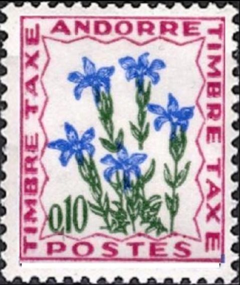 Spring Gentian
