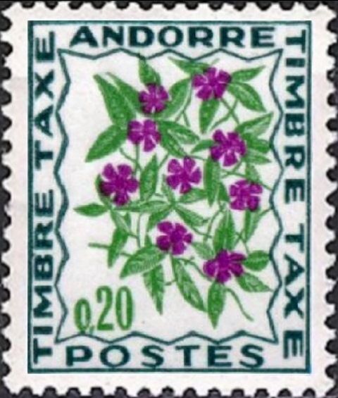 Flowers: Violet