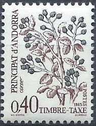 Corner (Cornus sanguinea)