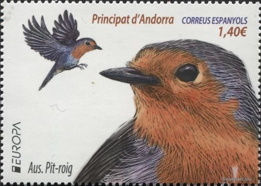 European Robin (Erithacus rubecula)