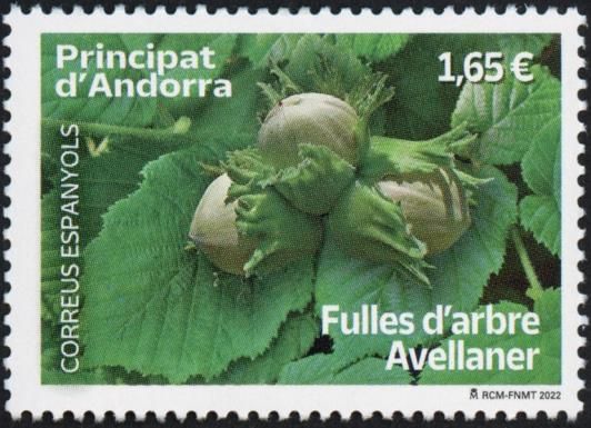 Common Hazel (Corylus avellana)