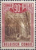 Tshamugussa - Bamboo Forest on the Volcano Musule