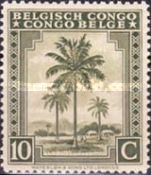 Oil palm trees - bilingual Priority Dutch