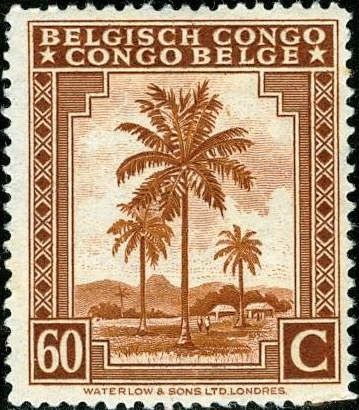 Oil palm trees - bilingual Priority Dutch
