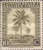 Oil palm trees - bilingual Priority French