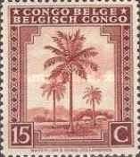 Oil palm trees - bilingual Priority French