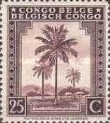 Oil palm trees - bilingual Priority French