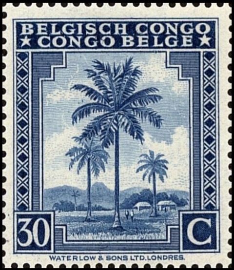 Oil palm trees - bilingual Priority French
