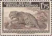Leopard (Panthera pardus) - bilingual Priority French