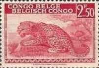 Leopard (Panthera pardus) - bilingual Priority French