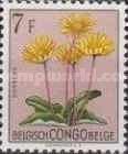 Gerbera discolor