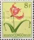 Gloriosa simplex