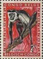 Mantled Guereza (Colobus guereza)