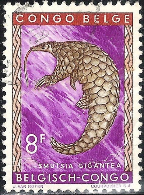 Giant Pangolin (Manis gigantea)
