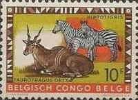 Common Eland (Taurotragus oryx), Plains Zebra (Equus quagga)
