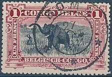 African Elephant (Loxodonta africana) overprinted