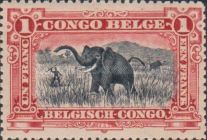 African Elephant (Loxodonta africana) - New Color