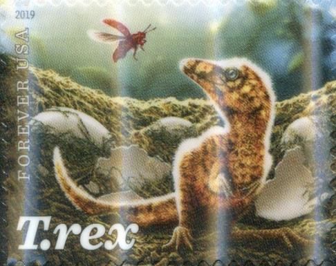 Tyrannosaurus Rex - Juvenile