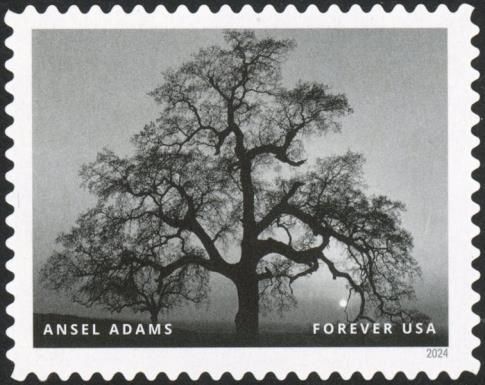 Ansel Adams, Photographer