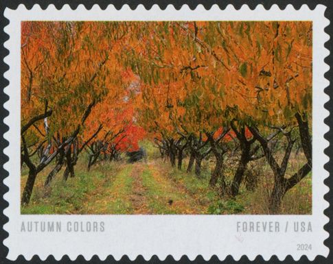 Autumn Colors