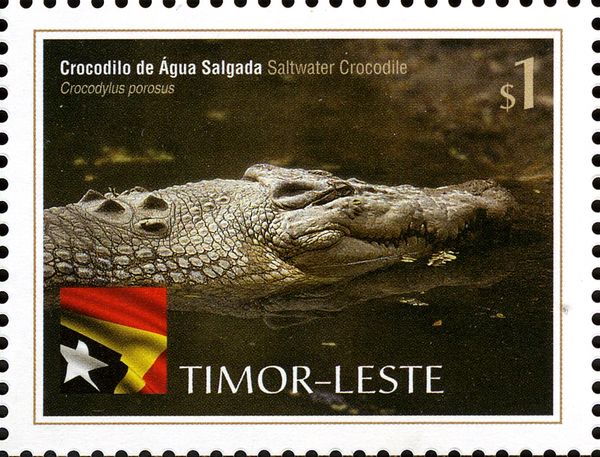 Saltwater Crocodile (Crocodylus porosus)